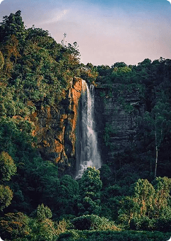 Waterfall near Nuwara Eliya surrounded by lush green hills in Sri Lanka